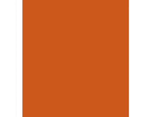 Plancha de Foamiran 60x35 cm color Calabaza