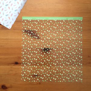 Acetato 12&quot;x12&quot; Naturaleza Pequeño Tipi de Iriri Estudio