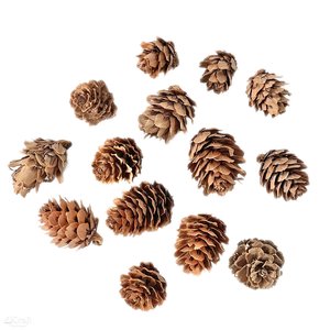 DP Christmas Mini Pinecones 25 grs