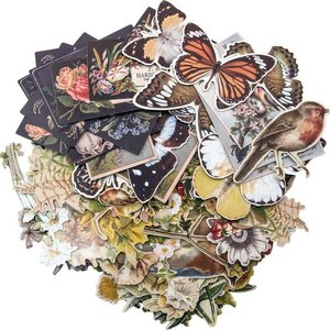 Tim Holtz Idea-Ology Ephemera Pack Layers Botanical 83 pcs