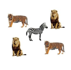 Set de brads Zebra, Lion & Tiger 12 pcs