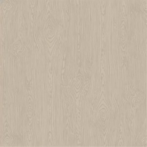 Cartulina textura madera American Crafts 12x12" Nickel Woodgrain