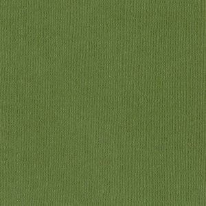 Cartulina texturizada básica Bazzill Mono 12x12" Nixon