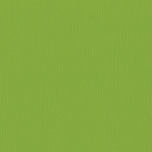 Cartulina texturizada ondas Bazzill FourZ 12x12" Intense Kiwi