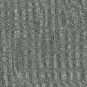 Cartulina Perlada texturizada Bazzill Bling 12x12" Tungsten