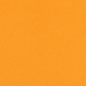 Cartulina texturizada básica 12x12" Mango