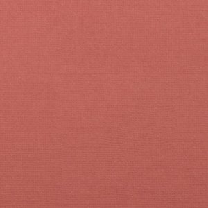Cartulina texturizada básica 12x12" Rhubarb
