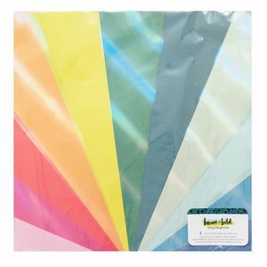 Papel con foil iridiscente Brave + Bold de Amy Tangerine