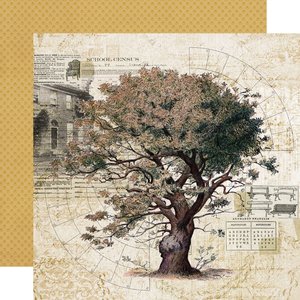 Papel 12x12" Simple Stories SV Ancestry Family Tree