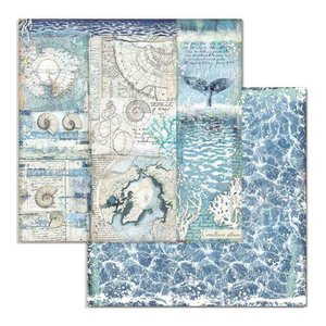 Papel 12x12" Stampería Artic Antartic Shelss