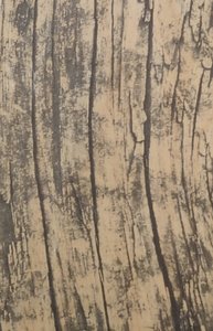 Papel adhesivo imitación madera Rustic Birch