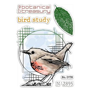 Sellos Ciao Bella 4x6" Bird Study