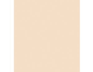 Plancha de Foamiran 60x35 cm color Rosa Pastel