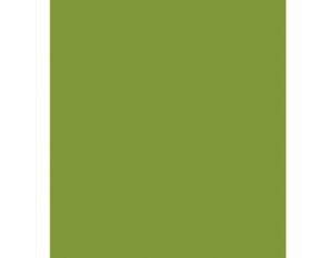 Plancha de Foamiran 60x35 cm color Verde Lima