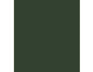 Plancha de Foamiran 60x35 cm color Verde Musgo