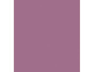 Plancha de Foamiran 60x35 cm color Rosa Chicle
