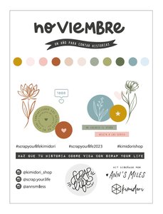 Pad 6x8 tarjetas SYL Noviembre 2023