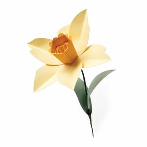 Troqueles gruesos Sizzix BIGZ Daffodil