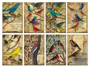 Mini Pad tamaño tarjetas 24 pcs 7x10,6 cm Decorer Birds