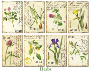 Mini Pad tamaño tarjetas 24 pcs 7x10,8 cm Decorer Herbs