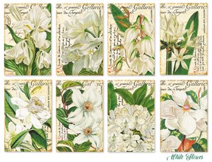 Mini Pad tamaño tarjetas 24 pcs 7x10,6 cm Decorer White Flower