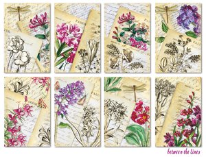 Mini Pad tamaño tarjetas 24 pcs 7x10,8 cm Decorer Between the lines