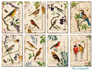 Mini Pad tamaño tarjetas 24 pcs 7x10,8 cm Decorer On a branch