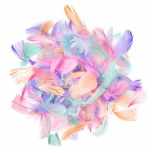 Set de plumas colores variados Macaron