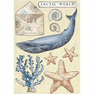 Maderitas coloreadas Stampería Artic Antartic